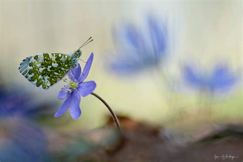  Die Morgenröte - Eine Ode an die Lichtgestalt der Natur und eine Symphonie des Farbspektrums!